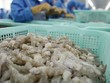 Chế biến sâu, xu hướng thích ứng của doanh nghiệp nông nghiệp