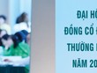 Nhiều doanh nghiệp lỡ hẹn đại hội trước tháng 7