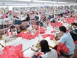 Thêm hàng chất lượng, thêm những câu chuyện thành công trên thị trường chứng khoán