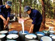 Tập đoàn Cao su tham vọng mở rộng sản xuất săm lốp