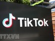 Mỹ: Tòa án thông báo xem xét đơn kháng cáo của Bộ Tư pháp về TikTok