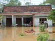 Bộ Y tế hỗ trợ các tỉnh miền Trung xử lý vệ sinh môi trường sau mưa lũ