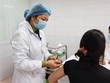 Kết quả ban đầu vắcxin Nano Covax an toàn, tạo phản ứng miễn dịch tốt