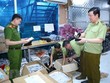 Ninh Bình: Triệt phá kho hàng giả, hàng nhái lớn nhất từ trước đến nay