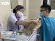 Quy trình tiêm vaccine ngừa COVID-19 của Việt Nam an toàn và khác biệt với thế giới