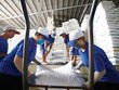 Giá lương thực liên tục tăng, mã nào hưởng lợi?