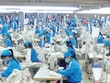 Doanh nghiệp niêm yết thích ứng và chờ cơ hội