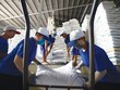 Xuất khẩu gạo lao đao trong đại dịch