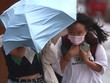 Trung Quốc: Thượng Hải đình chỉ dịch vụ hàng không, đường sắt, đóng cửa trường học vì bão
