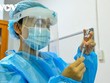 Bộ Y tế chuẩn bị sẵn sàng tiêm chủng cho các đối tượng khác