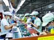 Đối tượng nào sẽ được hưởng hỗ trợ từ Quỹ bảo hiểm thất nghiệp?