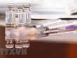 APEC thúc đẩy nỗ lực sản xuất, chia sẻ vaccine COVID-19 toàn cầu