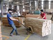 Cơ hội khi doanh nghiệp gỗ phục hồi sản xuất