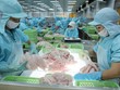 Động lực kinh tế cuối năm