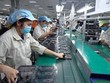 Khoảng 70% người lao động trên địa bàn Bình Phước đã quay lại làm việc