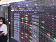Lợi nhuận công ty chứng khoán phân hóa