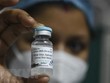 Bộ Y tế phê duyệt có điều kiện vaccine phòng COVID-19 Covaxin