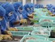 Cổ phiếu thủy sản dậy sóng