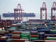 WTO nhận định hoạt động giao thương toàn cầu đang chậm lại