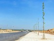 Đầu tư tuyến giao thông nối sân bay Long Thành theo Luật Đầu tư công