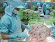 Doanh nghiệp xuất khẩu lạc quan cuối năm