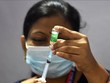 WHO cấp phép sử dụng khẩn cấp vaccine Covovax do Ấn Độ sản xuất