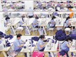 Doanh nghiệp dệt may phục hồi mạnh mẽ