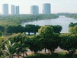 Cổ phiếu doanh nghiệp địa ốc Bình Dương hòa theo sóng ngành
