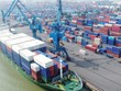 Cổ phiếu vận tải biển trên đầu sóng