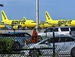 Mỹ: Hai hãng hàng không Frontier Airlines và Spirit Airlines hợp nhất