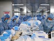 Tạm ngừng kinh doanh tạm nhập, tái xuất khẩu trang, găng tay y tế từ 15/3