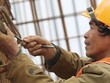 Nhà thầu hứng khởi bước vào năm mới