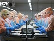 Hậu Giang có hơn 95% người lao động tại các khu, cụm công nghiệp trở lại làm việc sau Tết
