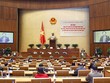 Nâng cao vị thế của cơ quan dân cử