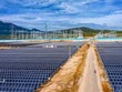 Ninh Thuận: Lo nhà máy 450 MW không được phát 172 MW, tỉnh và doanh nghiệp gõ cửa khắp nơi