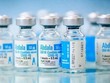 Gia hạn thời hạn sử dụng vắc-xin Abdala từ 6 tháng lên 9 tháng