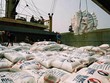 Giải pháp nào cho sự phục hồi kinh tế?