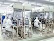 Doanh nghiệp Việt Nam đầu tư ra nước ngoài tăng 28,5% trong quý 1