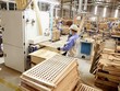 Các doanh nghiệp gỗ đã kín đơn hàng đến hết quý 3 năm nay