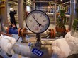WTO cảnh báo căng thẳng Nga-Ukraine ảnh hưởng lớn thương mại toàn cầu