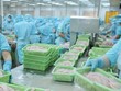 Lạc quan lợi nhuận doanh nghiệp thủy sản