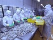 Tận dụng RCEP, xuất khẩu thủy sản sang Australia dự báo tăng mạnh