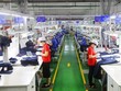 Phê duyệt Chiến lược hợp tác đầu tư nước ngoài giai đoạn 2021-2030
