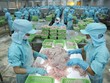 Hé lộ những khoản lợi nhuận đột biến quý II