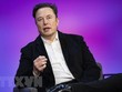 Tỷ phú Elon Musk bị kiện do ủng hộ tiền kỹ thuật số Dogecoin