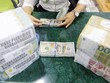 Tiền đồng có chịu áp lực giảm giá?
