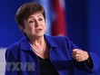Tổng Giám đốc IMF: Triển vọng kinh tế toàn cầu "không chắc chắn"
