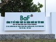 BAF, FNF huy động cả ngàn tỷ đồng trái phiếu; FLC sẽ "cứu" cổ phiếu; Hoàng Anh Gia Lai bị phạt