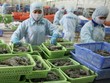 Áp lực bủa vây doanh nghiệp thủy sản