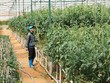 Cơ hội bứt phá từ lành mạnh hóa hệ thống